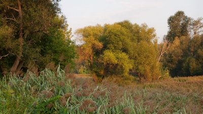 P1070475.jpg
