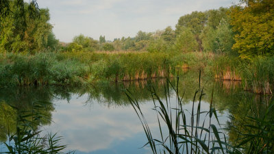 Sovsky Ponds