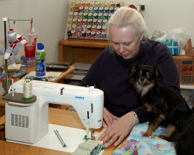 Quilter Dog