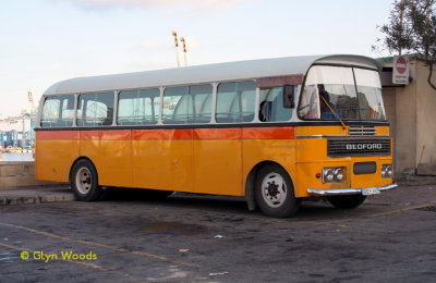IMG_3620s.jpg