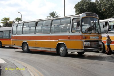 IMG_3724s.jpg
