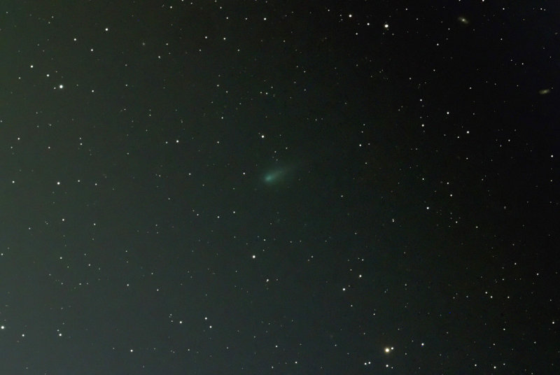 Comet 2010 X1 Elenin