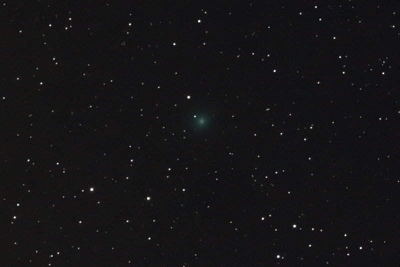 Comet 2011 Q4 SWAN