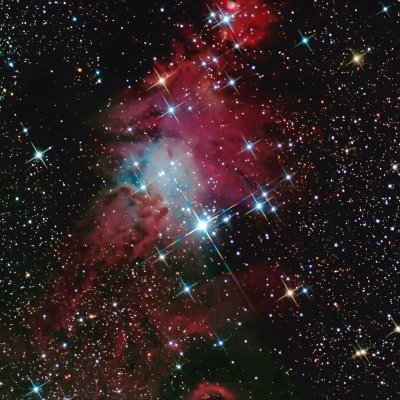 NGC 2264, a dedication to a fellow astronomer.