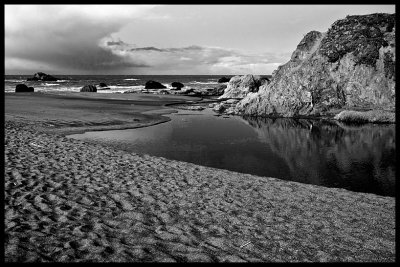 _MG_9381 copy.jpg