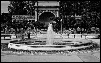 _MG_0710 copy.jpg