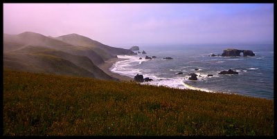 _MG_0816.jpg