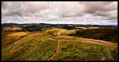 _MG_1307.jpg