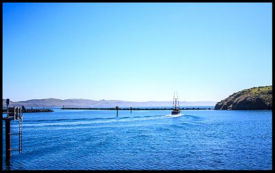 _MG_7924.jpg