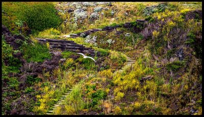 _MG_9255-Edit.jpg