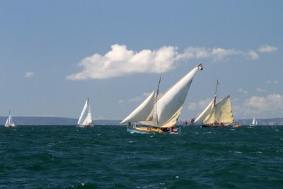 2012_383 800x600.jpg