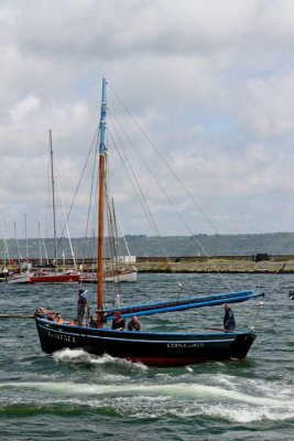 Etoile-de-la-mer 800x600.jpg