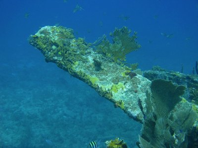 IMG_1081_small.jpg