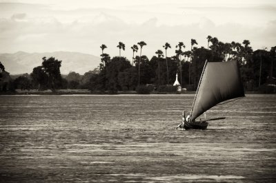 g4/56/771956/3/134624534.cGdGwQD8.jpg