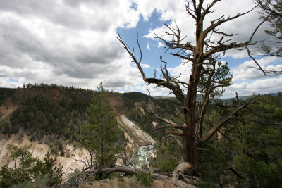 Yellowstone Picnic Area