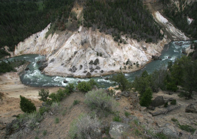 Yellowstone Picnic Area