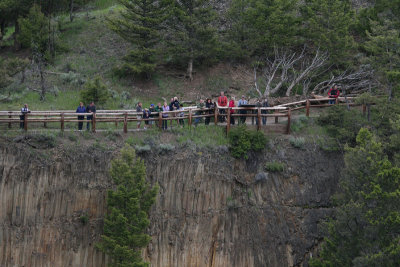 Yellowstone Picnic Area