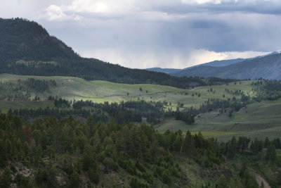 Yellowstone Picnic Area