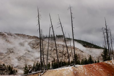 Yellowstone 2007
