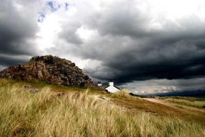 Bythynnod Llanddwyn 2011.