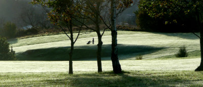 16th Fairway.