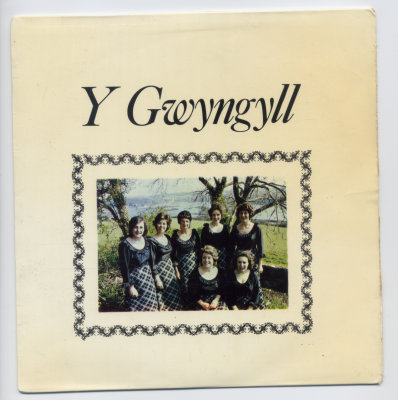 Y GWYNGYLL.