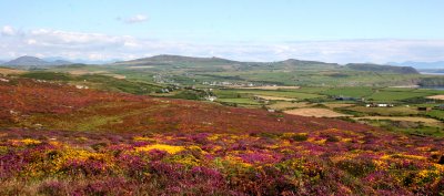 O Uwchmynydd.