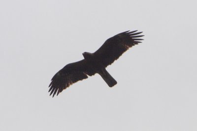 g4/56/840356/3/136986235.AkwlE1yg.jpg