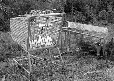 Shopping Carts