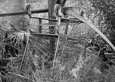 Shopping Cart