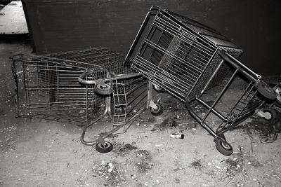 Shopping Carts