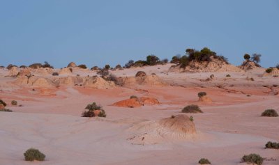 Mungo-38