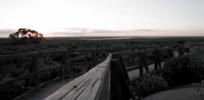 The way back