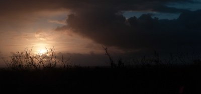 Some M8 images in WA
