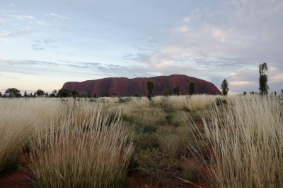 Uluru