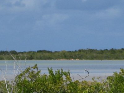 IMG_4151.JPG