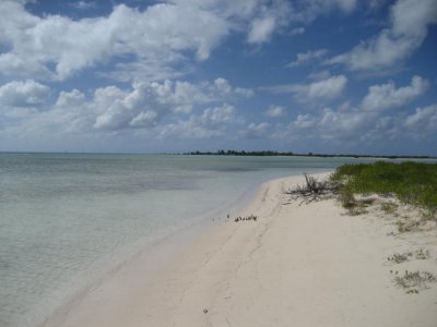 IMG_4152.JPG