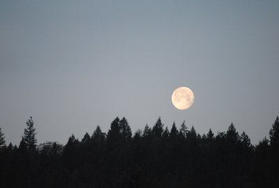 Full Moon 1