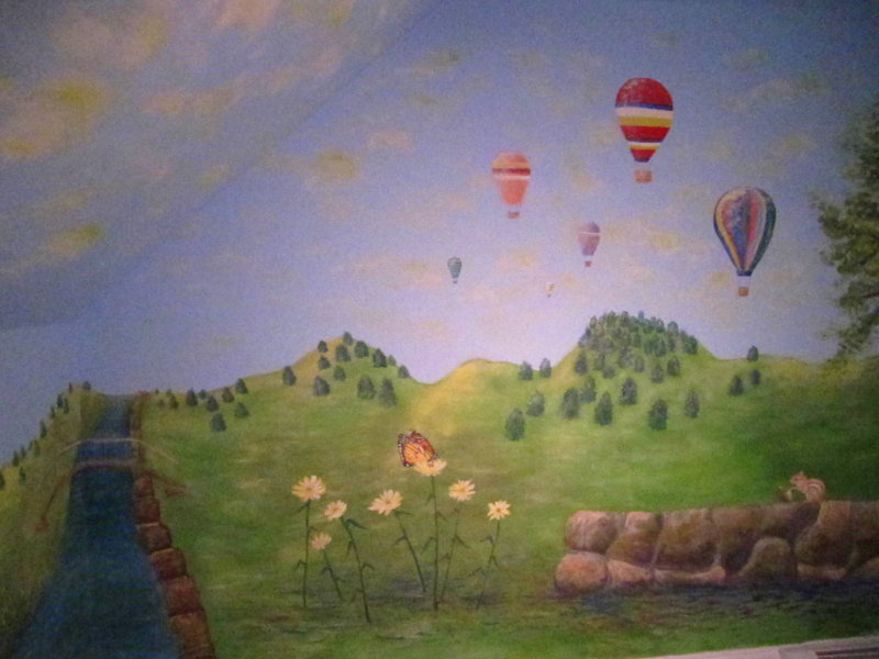 Hot Air Balloon and Meadow wall