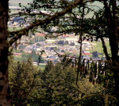 Ferndale from on the high forest road