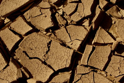 Big Bend NP Cracked Mud on Riverbank