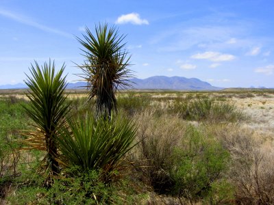 Big Bend NP view 01
