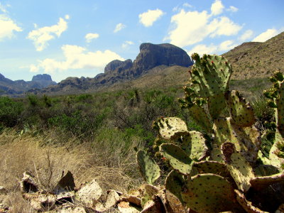 Big Bend NP view 03