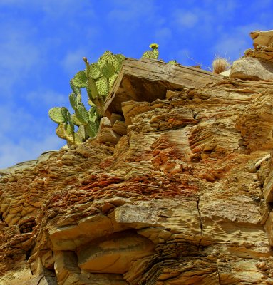 Big Bend NP view 21