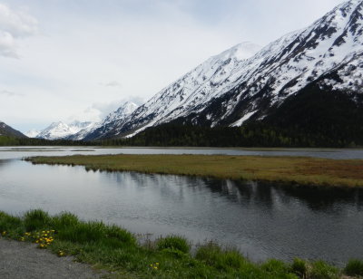 Near Homer 2 - Copy.JPG