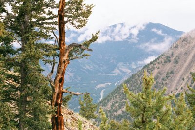 YNP2000I18.jpg