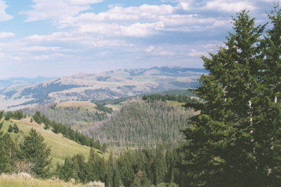 YNP2000H7.jpg