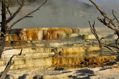 Yellowstone, of course.