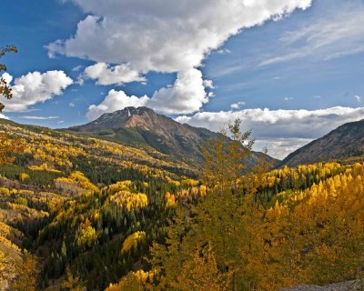 Silverton Co.