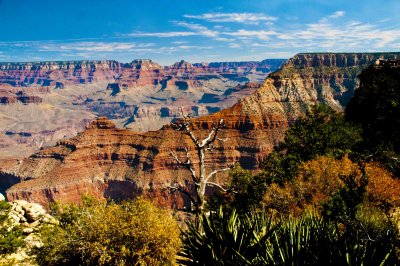 Grand Canyon, Az.